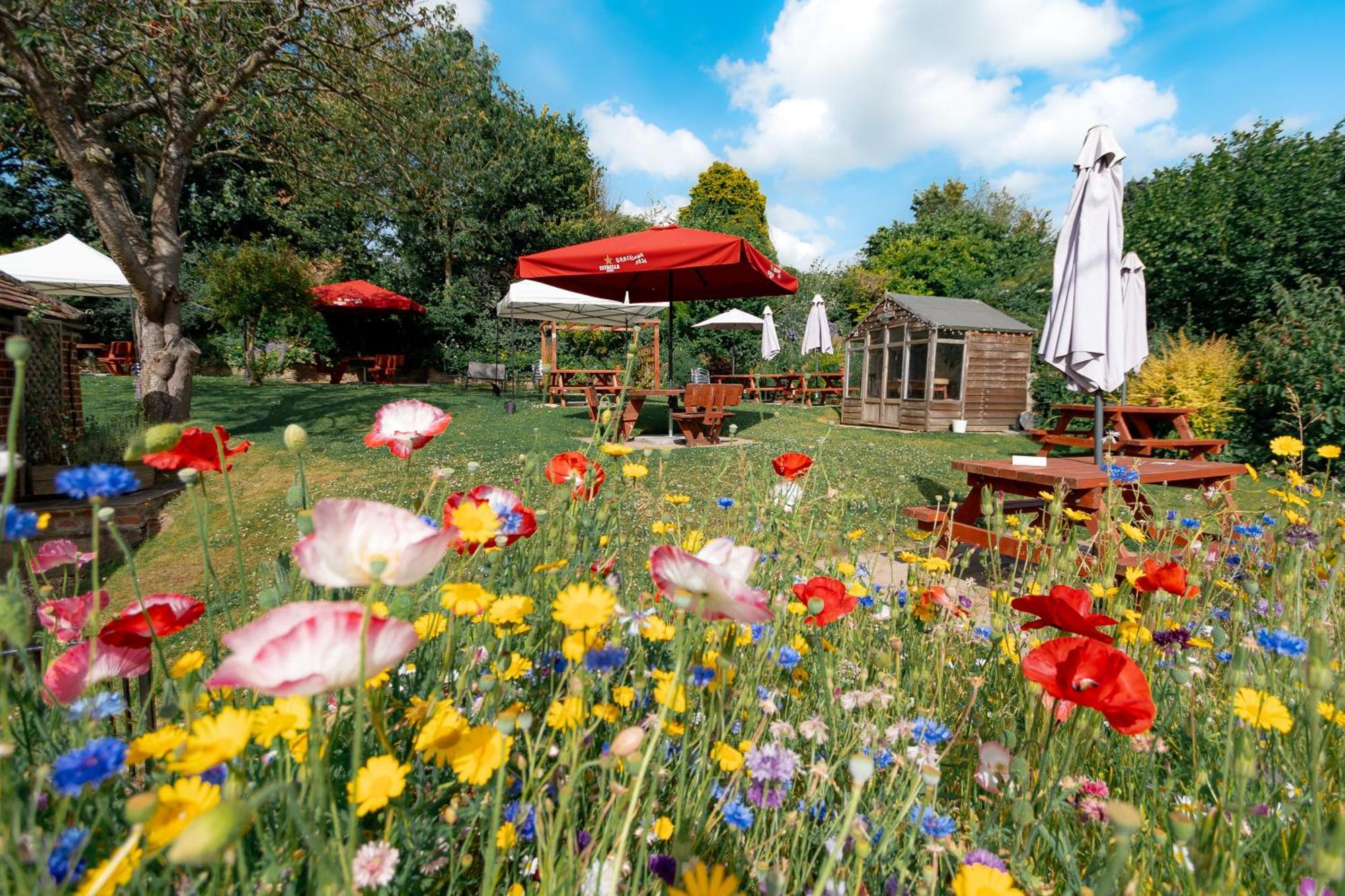 The Cartwheel Inn Whitsbury Εξωτερικό φωτογραφία